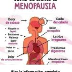 Cómo Es la Menopausia: Síntomas y Remedios Naturales