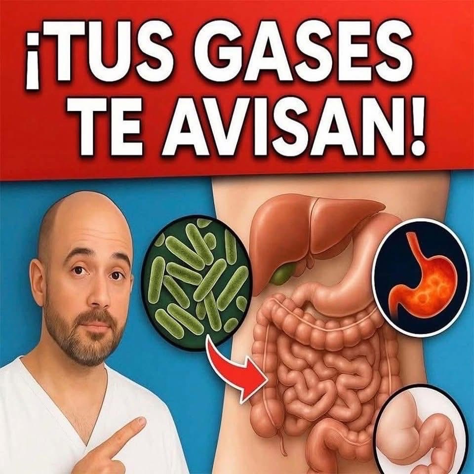 ¡TUS GASES TE AVISAN!