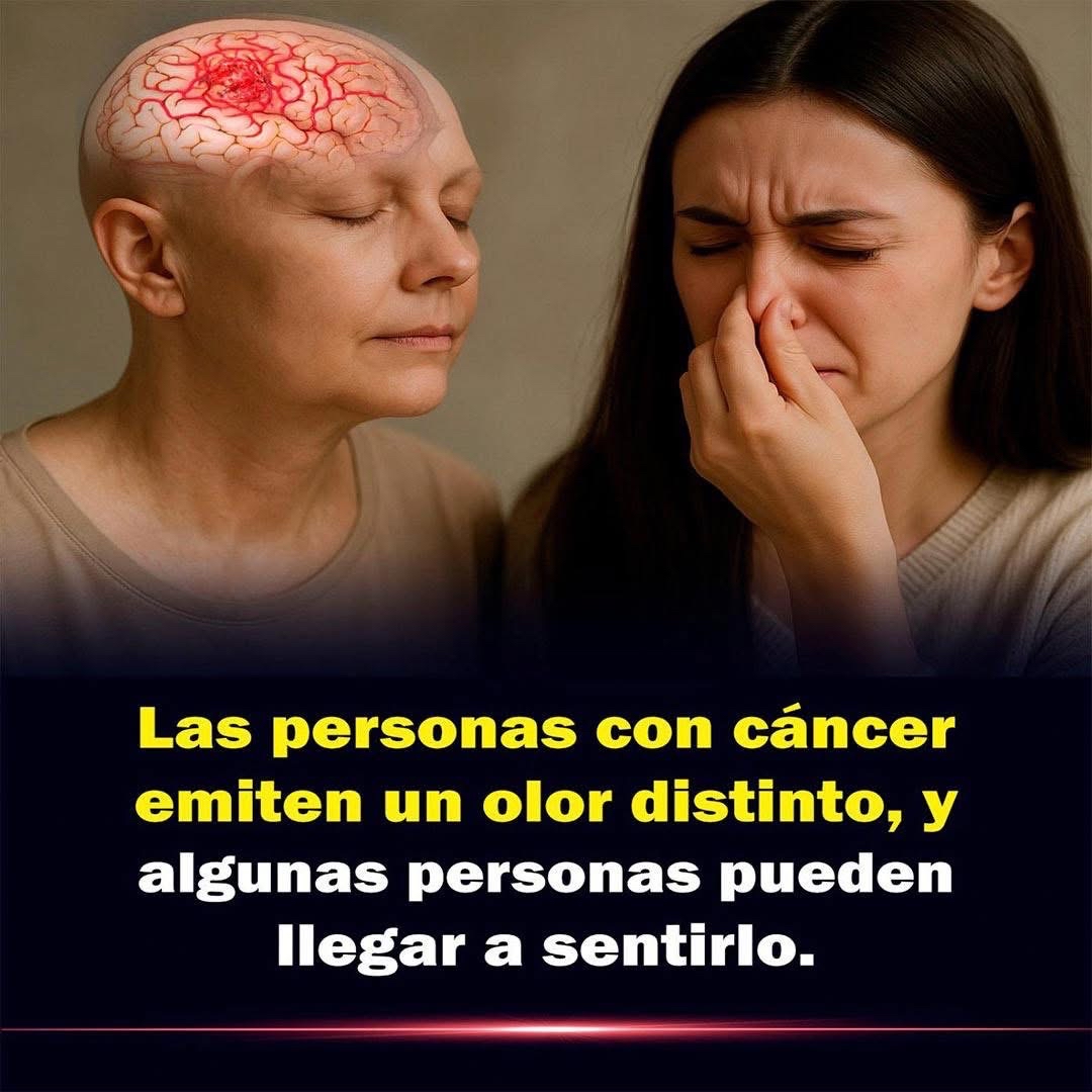 Imagen sobre el olor asociado al cáncer