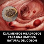 12 Alimentos Milagrosos para una Limpieza Natural del Colon