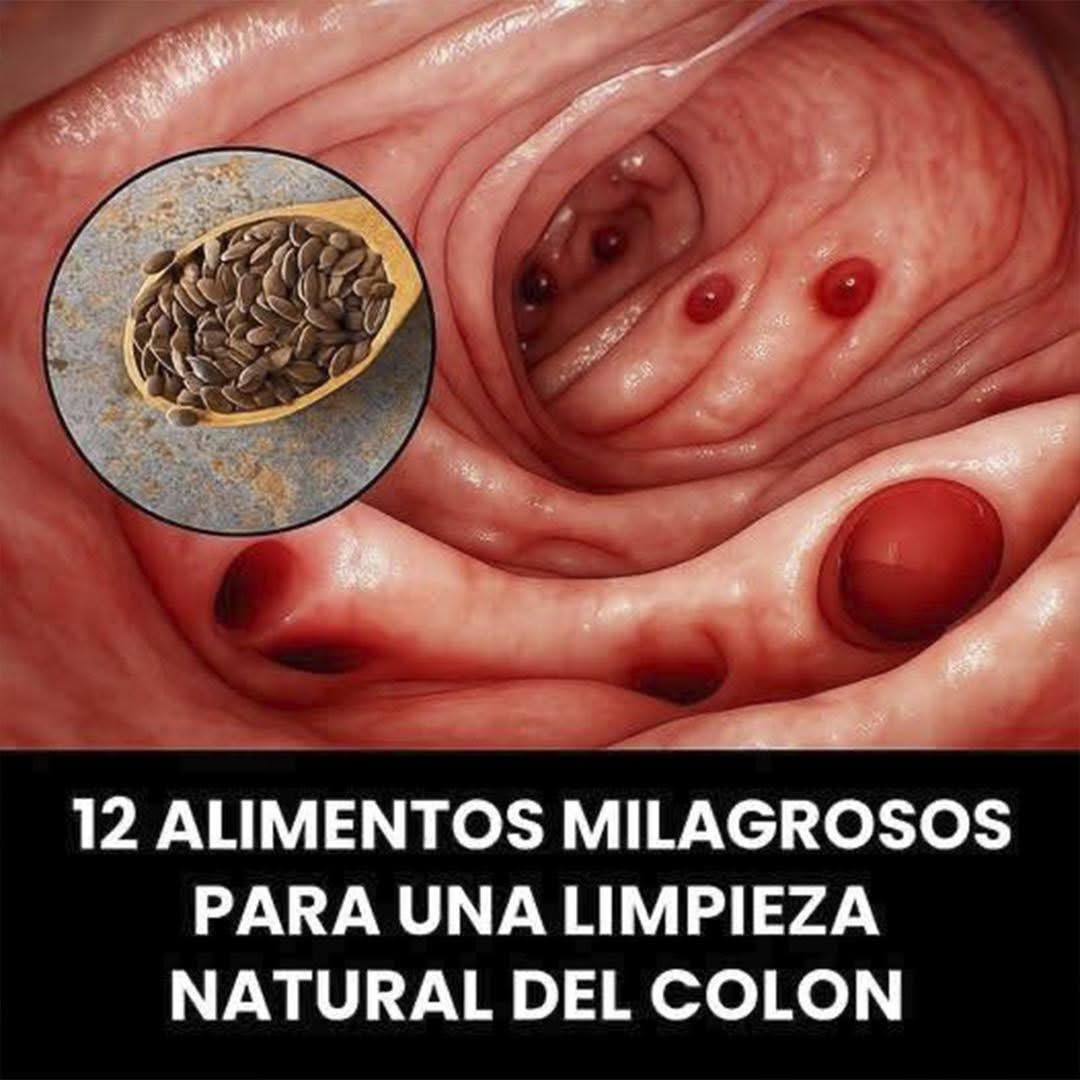 Alimentos para la Limpieza del Colon