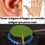 Beneficios de las Hojas Calientes de Orégano como Remedio Natural