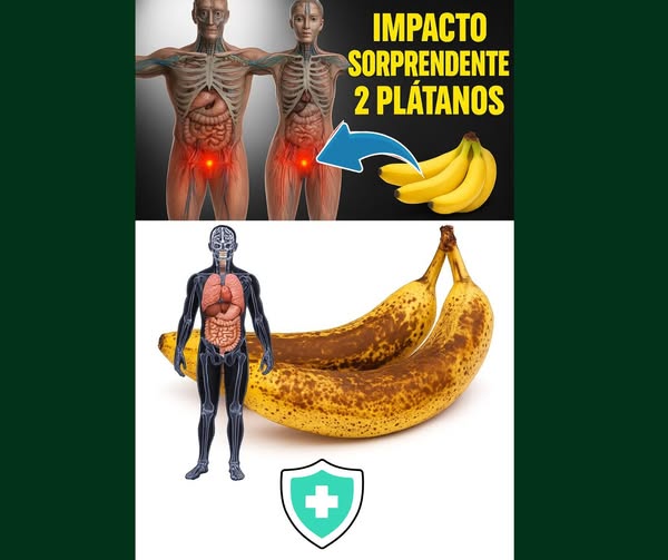 Beneficios de los plátanos para la salud
