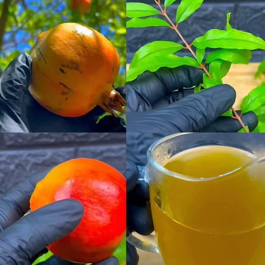 Recetas de salud y medicina natural