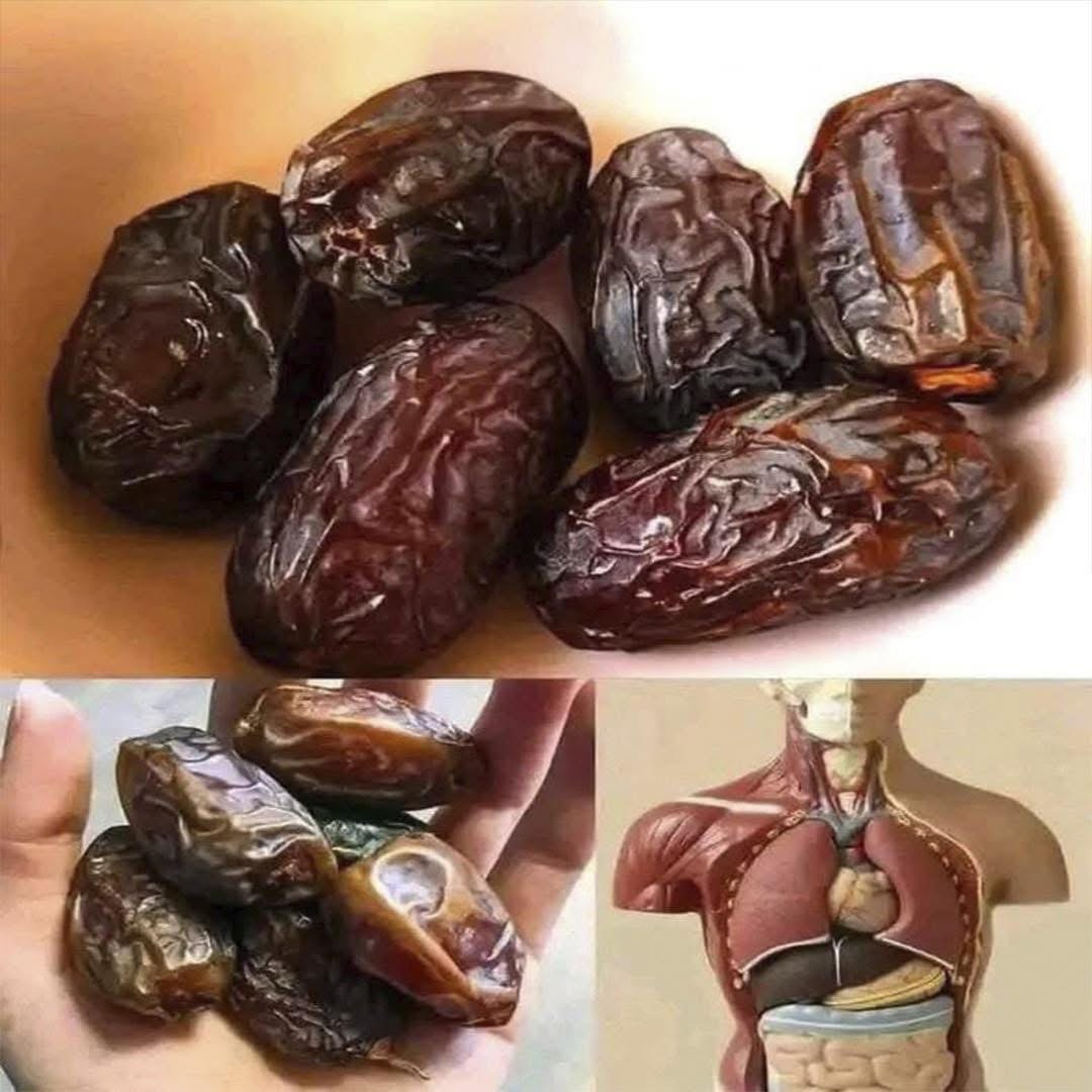 Dátiles y Sistema Digestivo