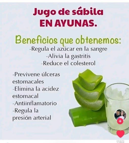 Planta de Sábila y Jugo de Sábila