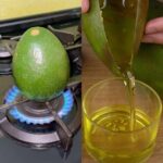 Multiplica los Beneficios del Aguacate: Haz tu Propio Aceite en Casa