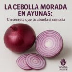 Recetas Ancestrales con Cebolla Morada para una Salud de Hierro