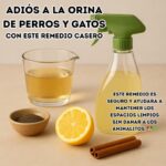 Adiós a la Orina de Perros y Gatos: Remedio Casero y Natural