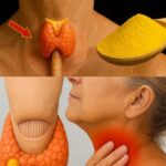 Apoya Tu Tiroides de Forma Natural con Cúrcuma
