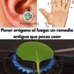 Descubre el Poder del Orégano: Un Remedio Natural que No Debes Ignorar