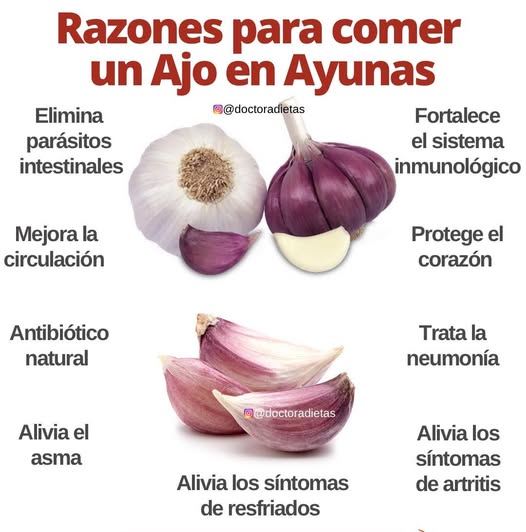 Beneficios del Ajo en Ayunas