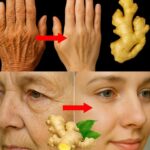 Jengibre: La Alternativa Natural al Botox para la Piel