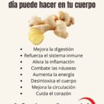 Los Asombrosos Beneficios del Jengibre: Lo Que un Pedazo al Día Puede Hacer en Tu Cuerpo