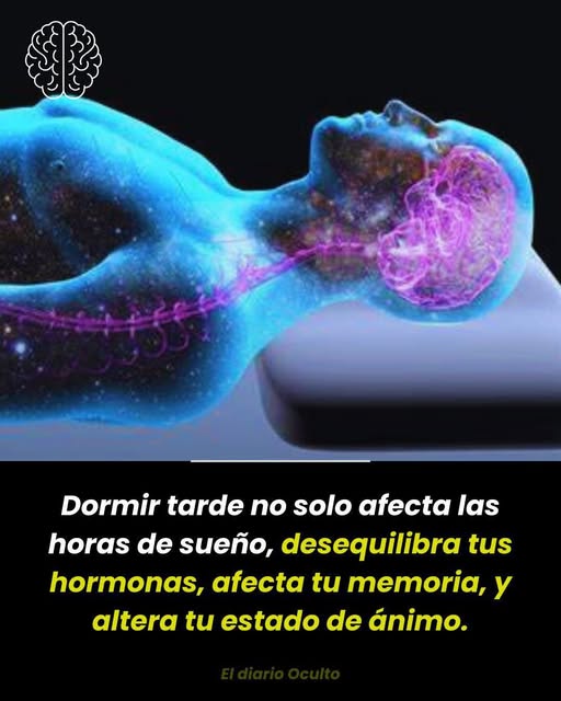 Impacto del sueño en el cerebro humano