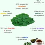 Los Asombrosos Beneficios Nutricionales de la Moringa