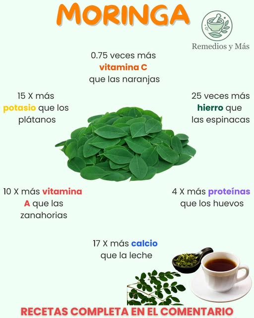 Beneficios nutritivos de la moringa