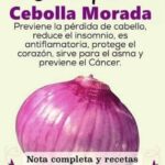 Beneficios de la Cebolla Morada: Un Superalimento para tu Salud