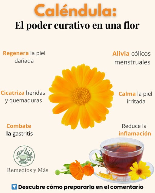 Flor de Caléndula con taza de té