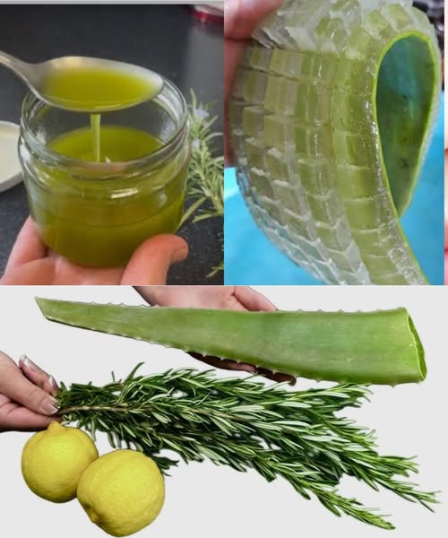 Preparación de Aloe Vera y Romero