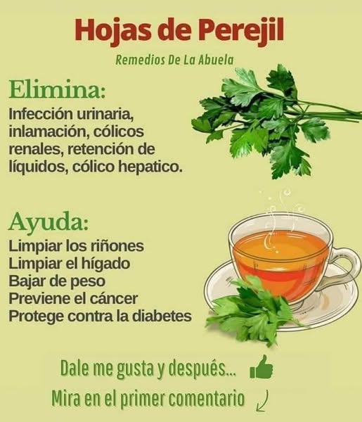 Infografía sobre los beneficios del perejil