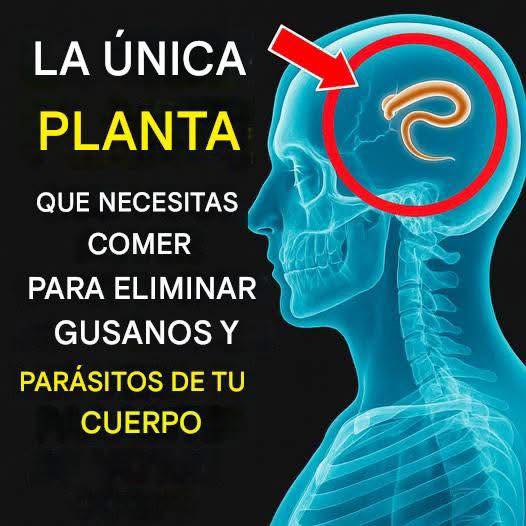 Elimina parásitos con ajo