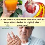 Remedios Naturales para Bajar el Colesterol y Mejorar tu Salud