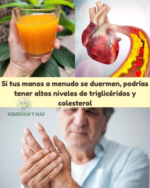 Colesterol y Salud