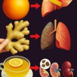 Remedios Naturales para Limpiar Riñones, Hígado y Pulmones