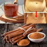 Perder Peso Rápido con Canela: Un Remedio Natural para Derretir Grasa del Vientre