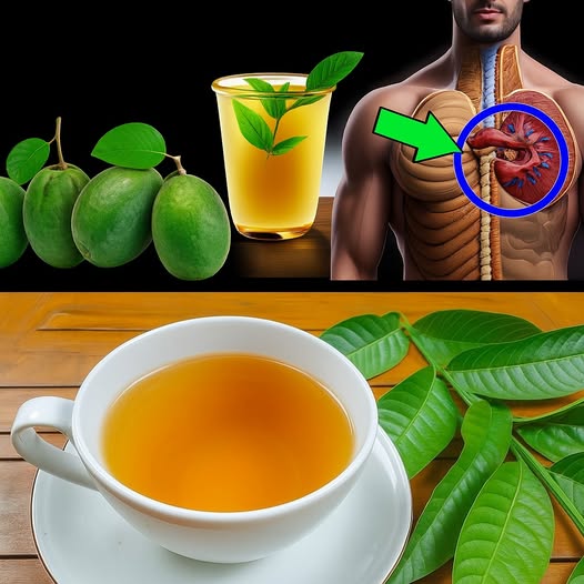 Té de hojas de guayaba