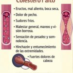 ¿Cómo Reconocer los Síntomas del Colesterol Alto? Todo lo que Necesitas Saber