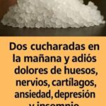 El Secreto Mejor Guardado para una Piel Joven y Articulaciones Fuertes