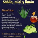 Beneficios de la Sábila, Miel y Limón: Un Remedio Natural para la Salud Digestiva y más