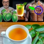 17 Razones para Beber Té de Hoja de Guayaba Semanalmente