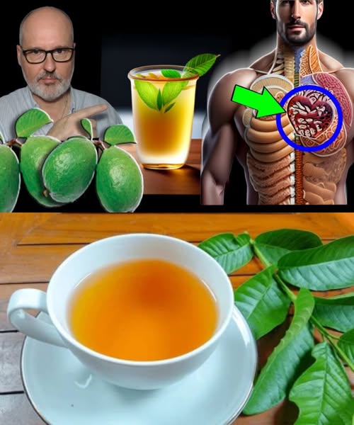 Té de hoja de guayaba