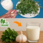Receta Natural para Pulmones Saludables: Un Remedio que Transforma tu Bienestar