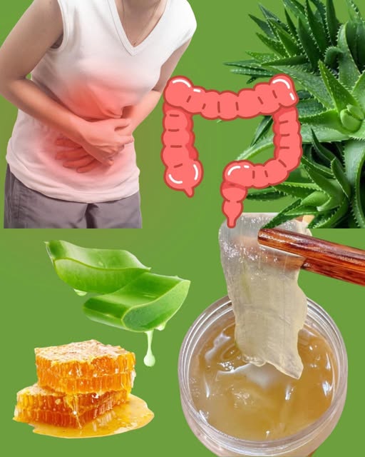 Remedios naturales para el malestar estomacal