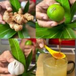 Transforma tu Salud con un Poderoso Remedio Natural: Jengibre, Limón, Ajo y Miel