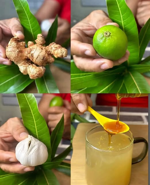 Ingredientes naturales para un remedio casero