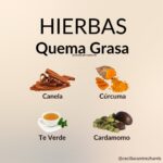 Hierbas Naturales para Quemar Grasa: Aliadas del Metabolismo y la Pérdida de Peso