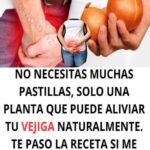 Alivia Tu Vejiga de Forma Natural con Esta Sencilla Receta de Cebolla