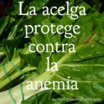 La Acelga Protege Contra la Anemia: Un Superalimento que No Debe Faltar en Tu Cocina