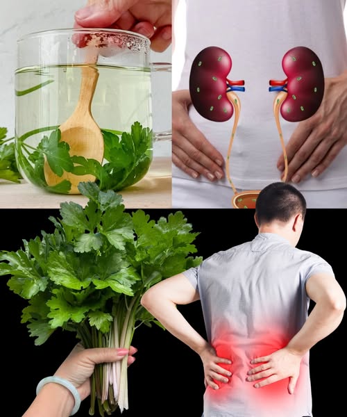 Té de perejil como remedio natural