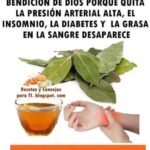 La Bendición de Dios: Beneficios del Laurel y Cómo Usarlo