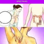 Señales de Problemas Digestivos y Soluciones Naturales Efectivas