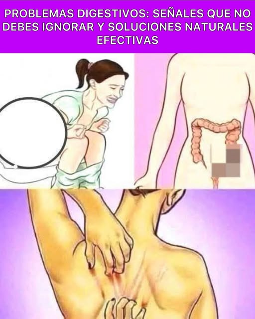 Problemas Digestivos