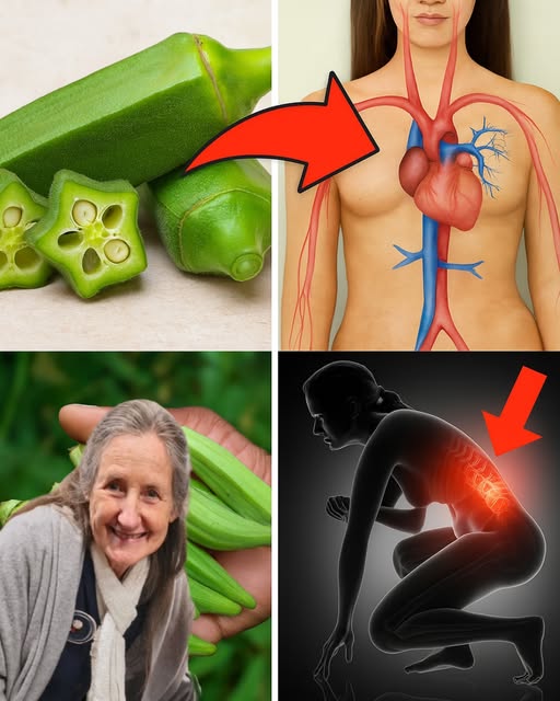 Beneficios del Quingombó