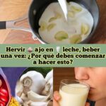 La Poderosa Mezcla de Ajo y Leche: Un Remedio Natural para Tu Salud