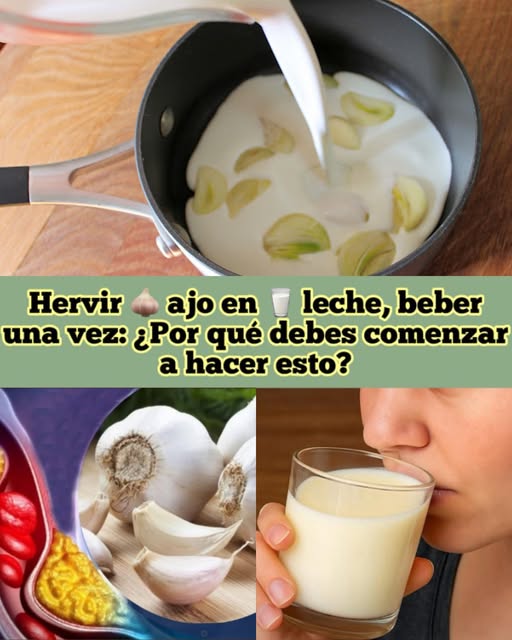 Ajo hervido en leche